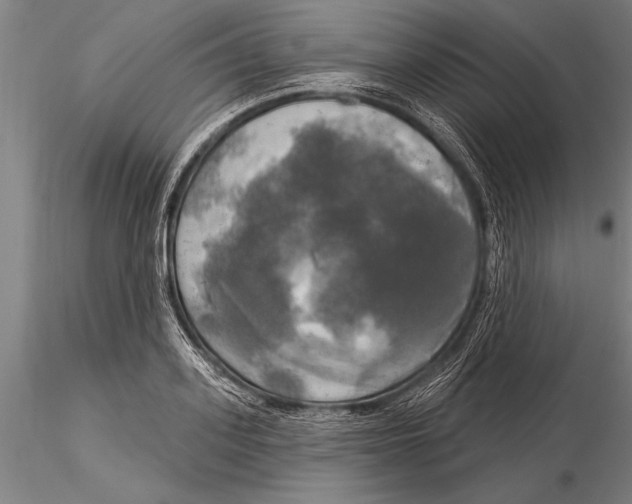 X0000116030939200912111412