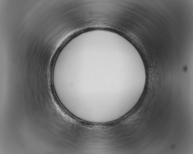 X0000116030942200912111412