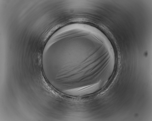 X0000116030945200912111412