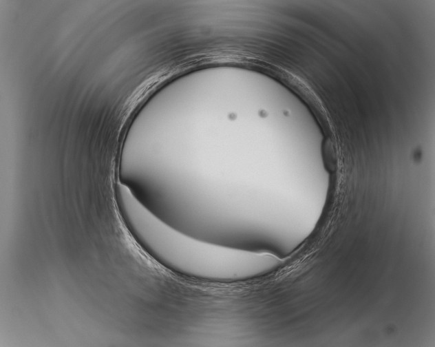 X0000116030946200912111412