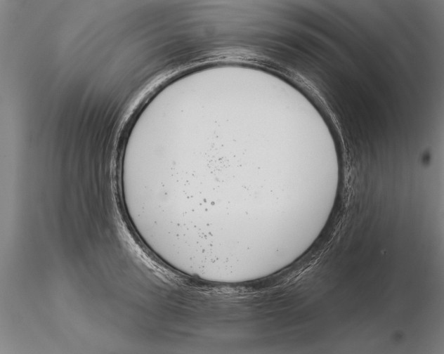 X0000116030947200912111412