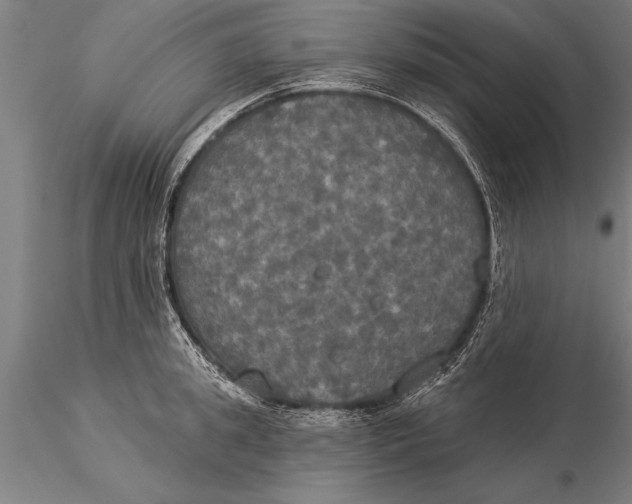 X0000116030949200912111413