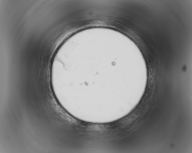 X0000116030950200912111413