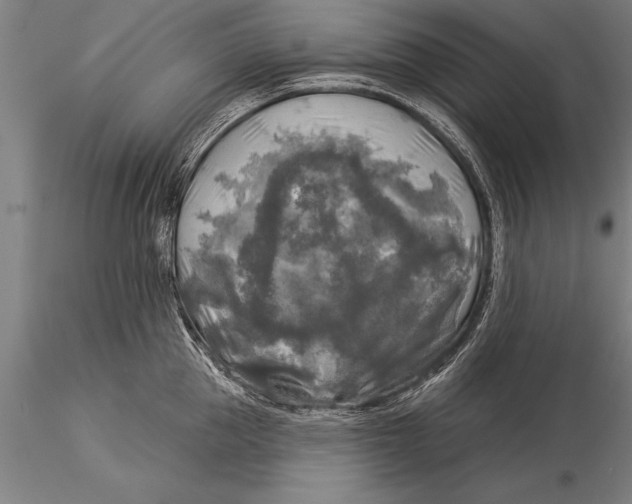 X0000116030953200912111413