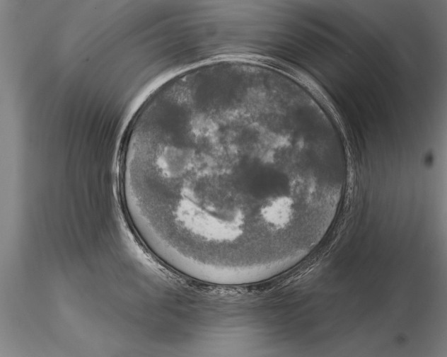 X0000116030955200912111413