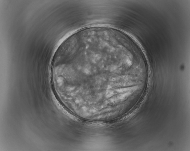 X0000116030957200912111413