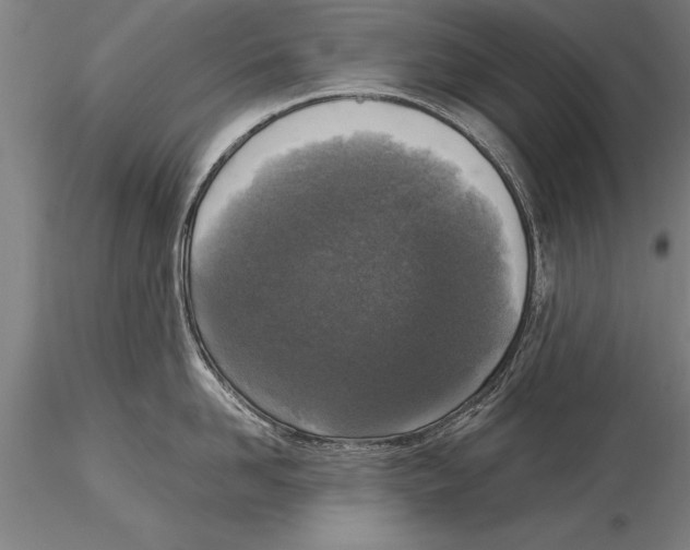 X0000116030958200912111413