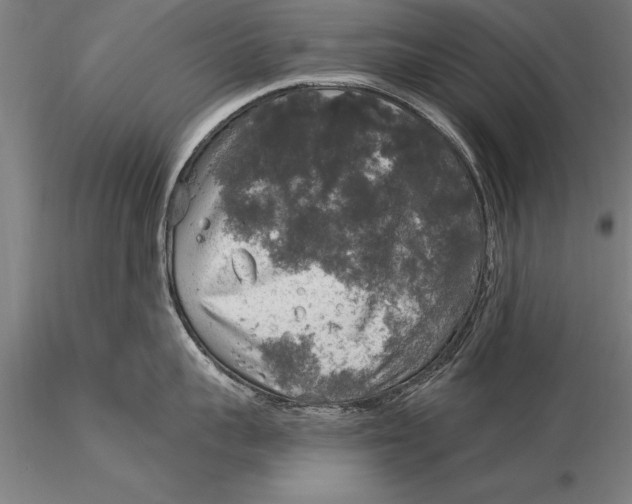 X0000116030959200912111413