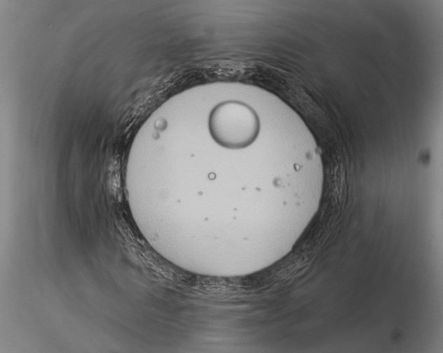 X0000116030962200912111412