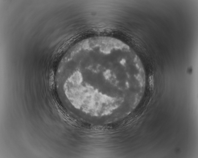 X0000116030963200912111412