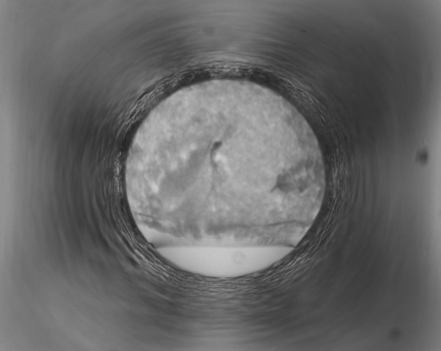 X0000116030964200912111412