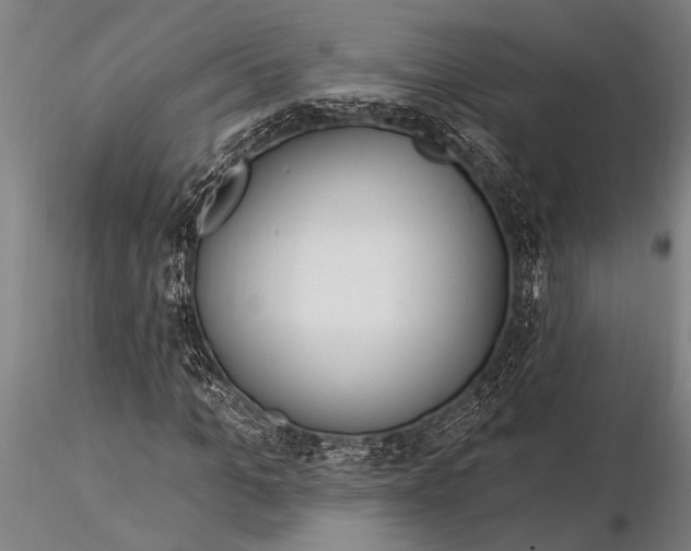 X0000116030965200912111412