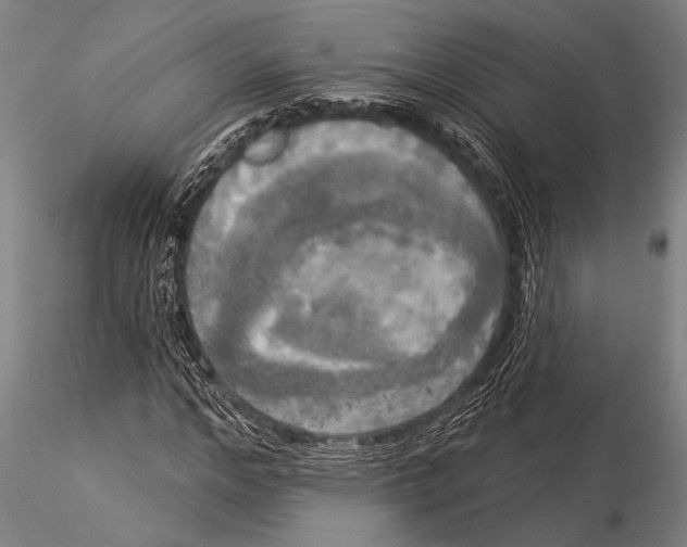 X0000116030968200912111412