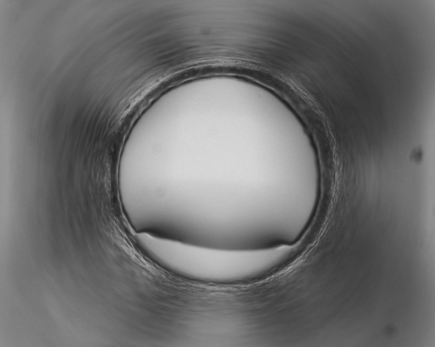 X0000116030969200912111412