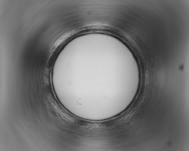 X0000116030970200912111412