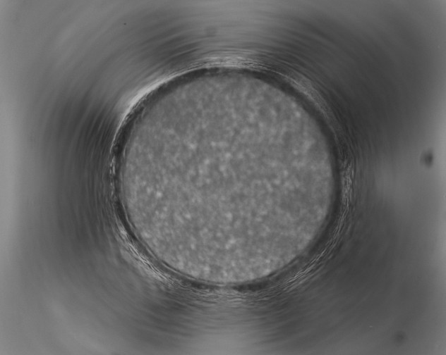 X0000116030971200912111412