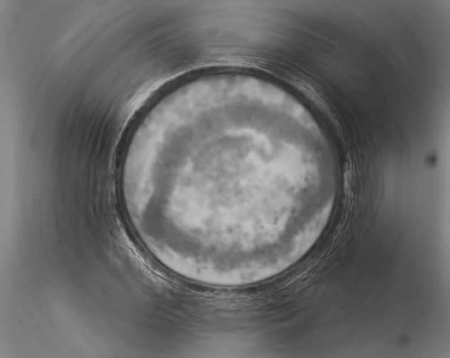 X0000116030972200912111412