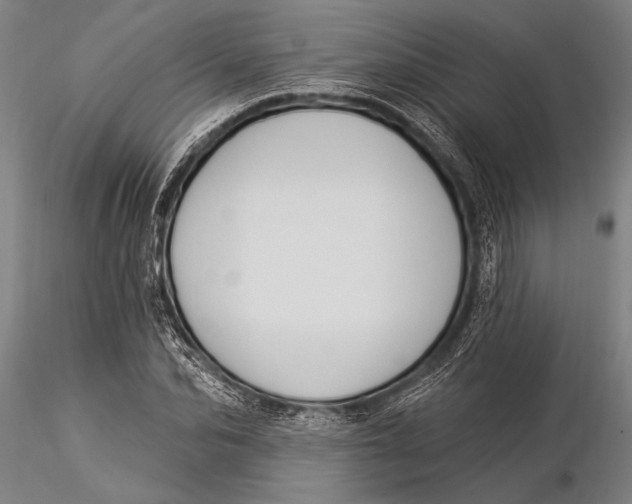 X0000116030974200912111412