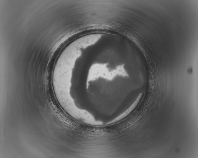 X0000116030975200912111412