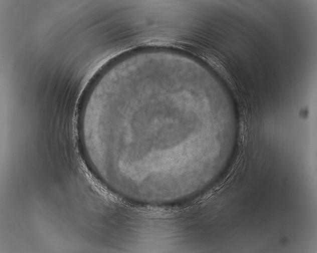 X0000116030976200912111412