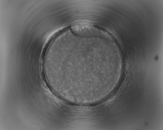 X0000116030979200912111412