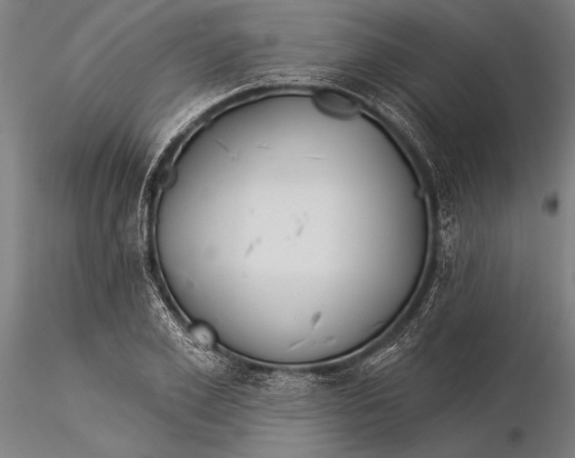 X0000116030981200912111411