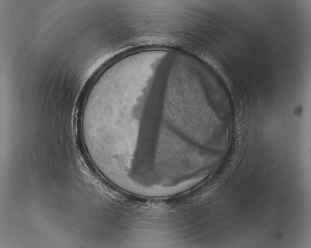 X0000116030983200912111411