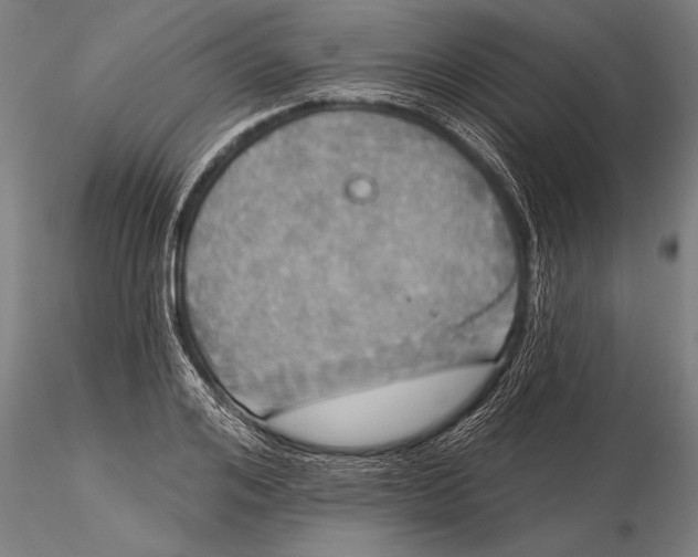 X0000116030984200912111411