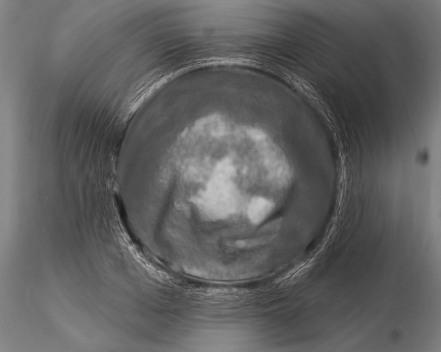 X0000116030985200912111411