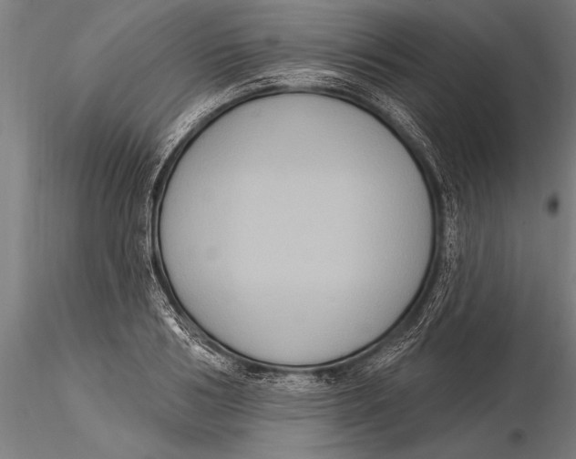 X0000116030986200912111411