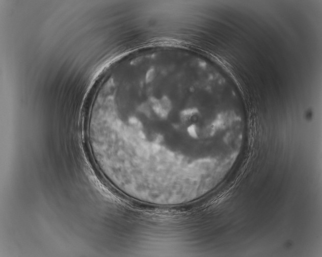 X0000116030987200912111411