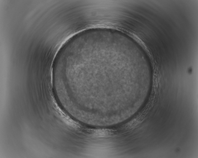 X0000116030988200912111411