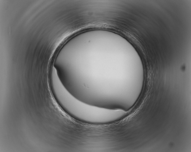 X0000116030989200912111411