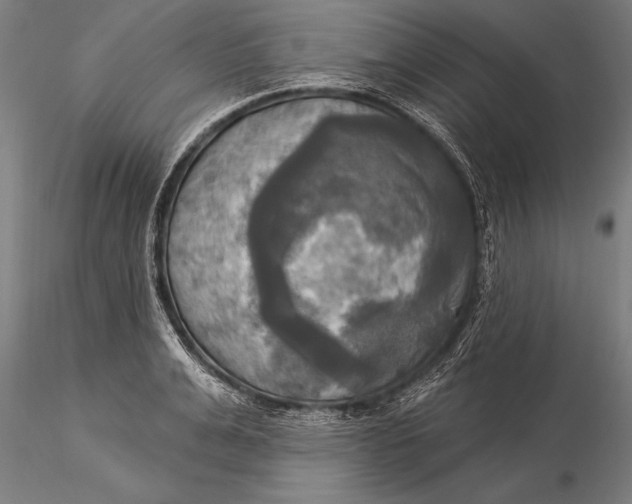 X0000116030991200912111411