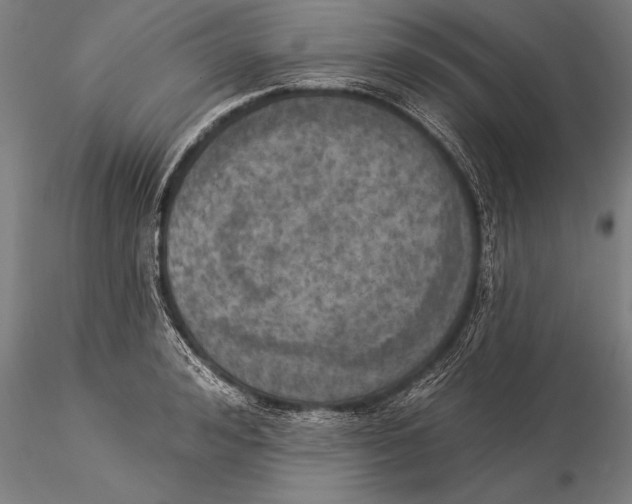 X0000116030992200912111411