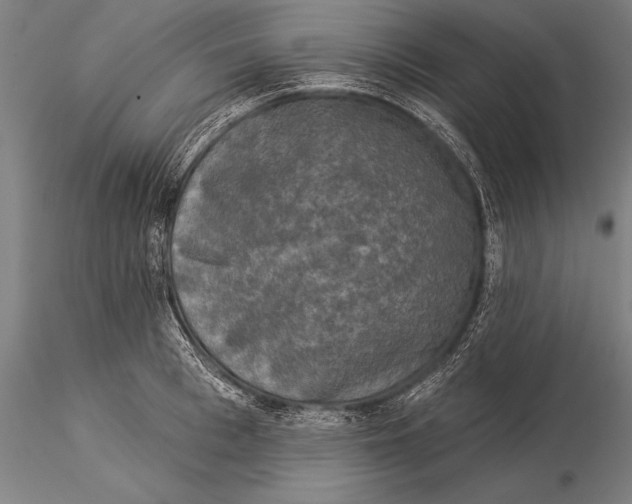 X0000116030993200912111411