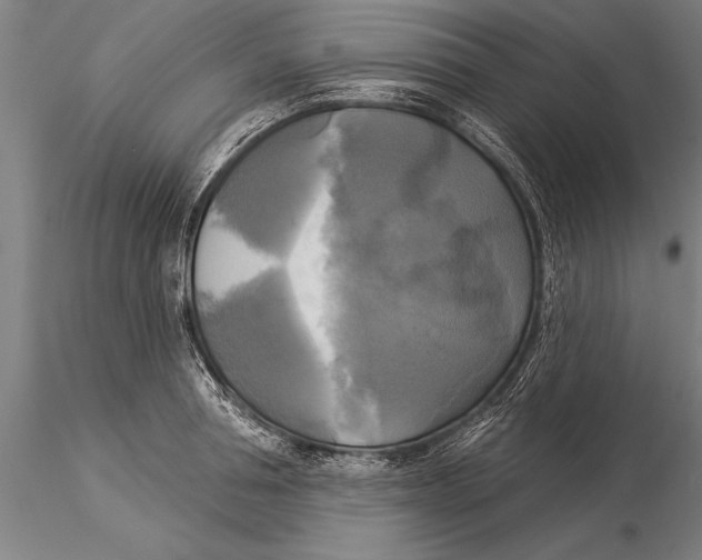 X0000116030994200912111411