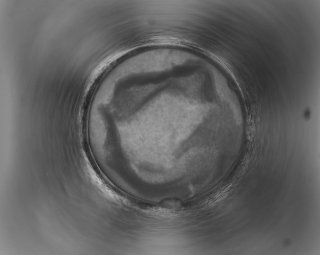 X0000116030995200912111411