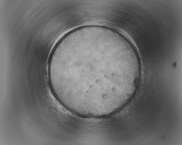 X0000116030996200912111411