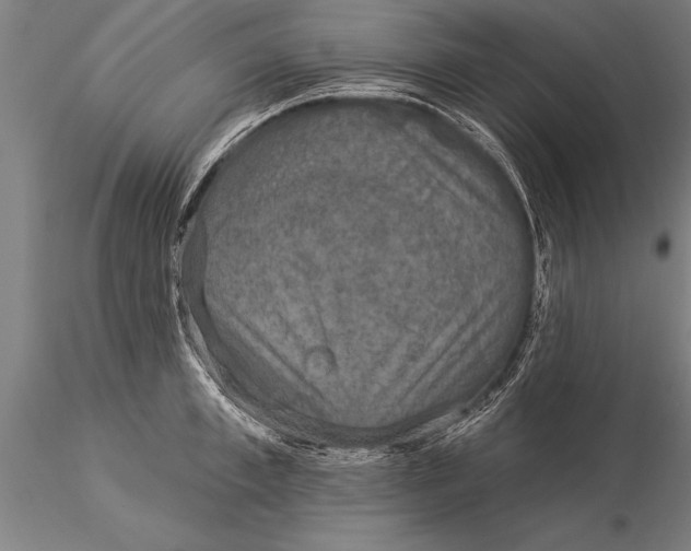 X0000116030997200912111411