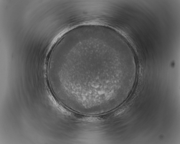 X0000116030998200912111411