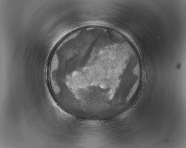 X0000116030999200912111411