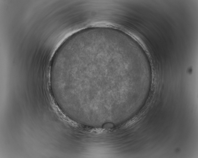 X0000116031000200912111411