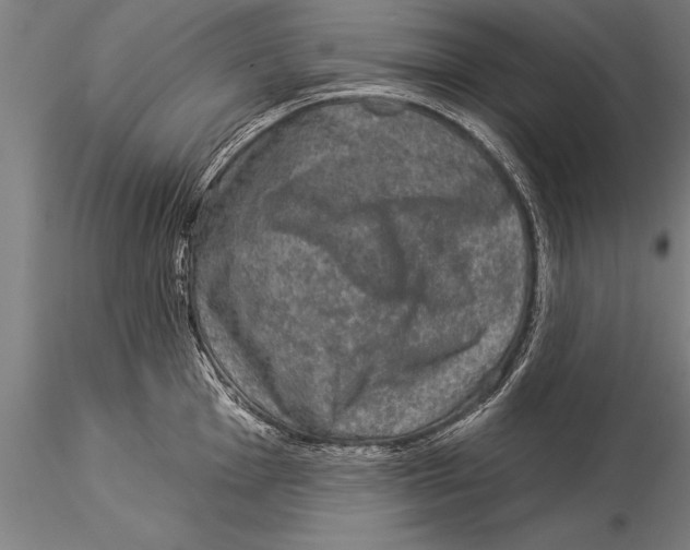 X0000116031001200912111411