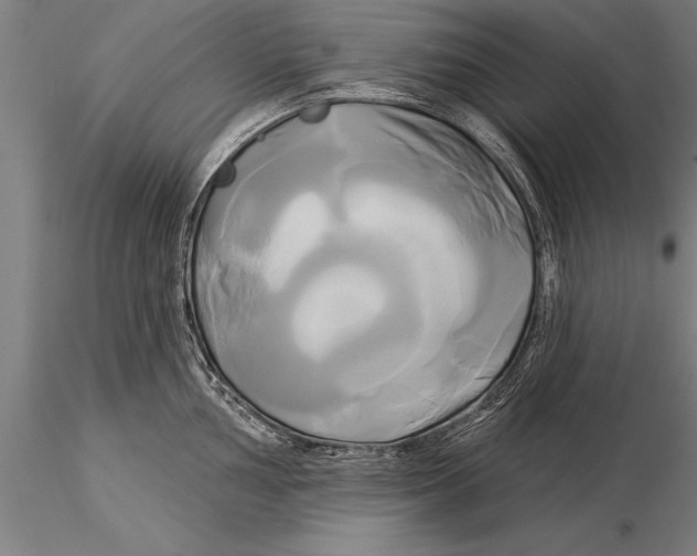 X0000116031002200912111411