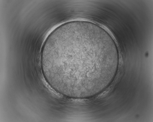 X0000116031004200912111411