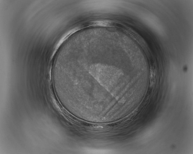 X0000116031005200912111411