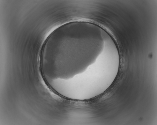 X0000116031007200912111411