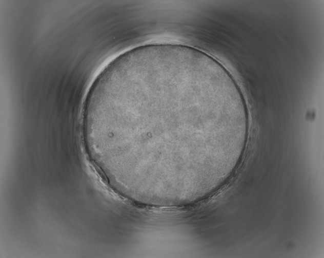 X0000116031008200912111411