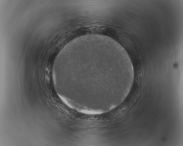 X0000116031010200912111410